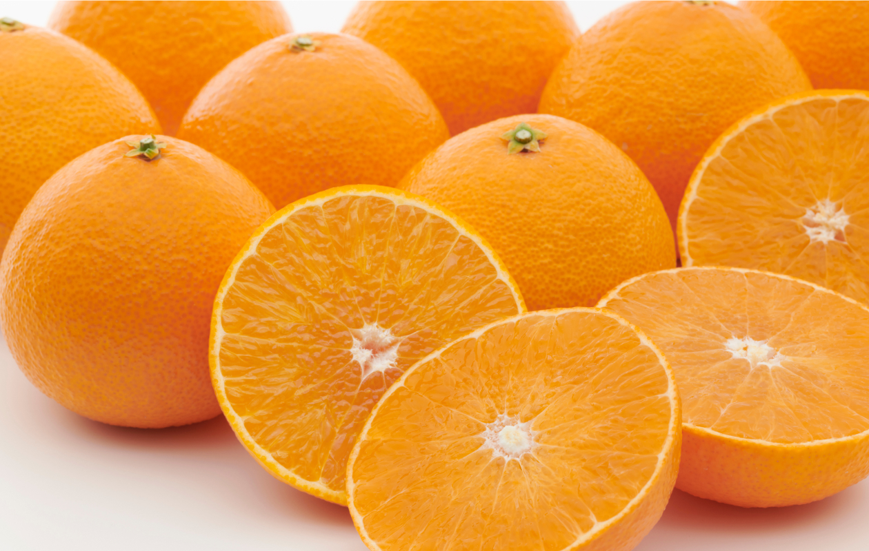 愛媛県の魅力を伝える画像