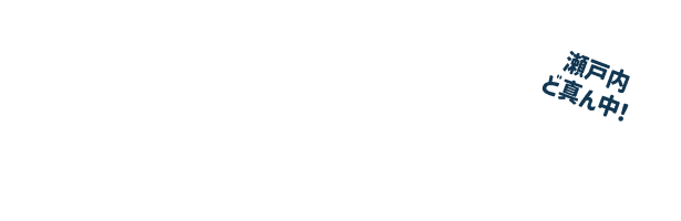 ひろしま中央エリア