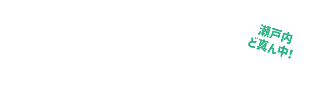 ひろしま中央エリア事業承継プロジェクト