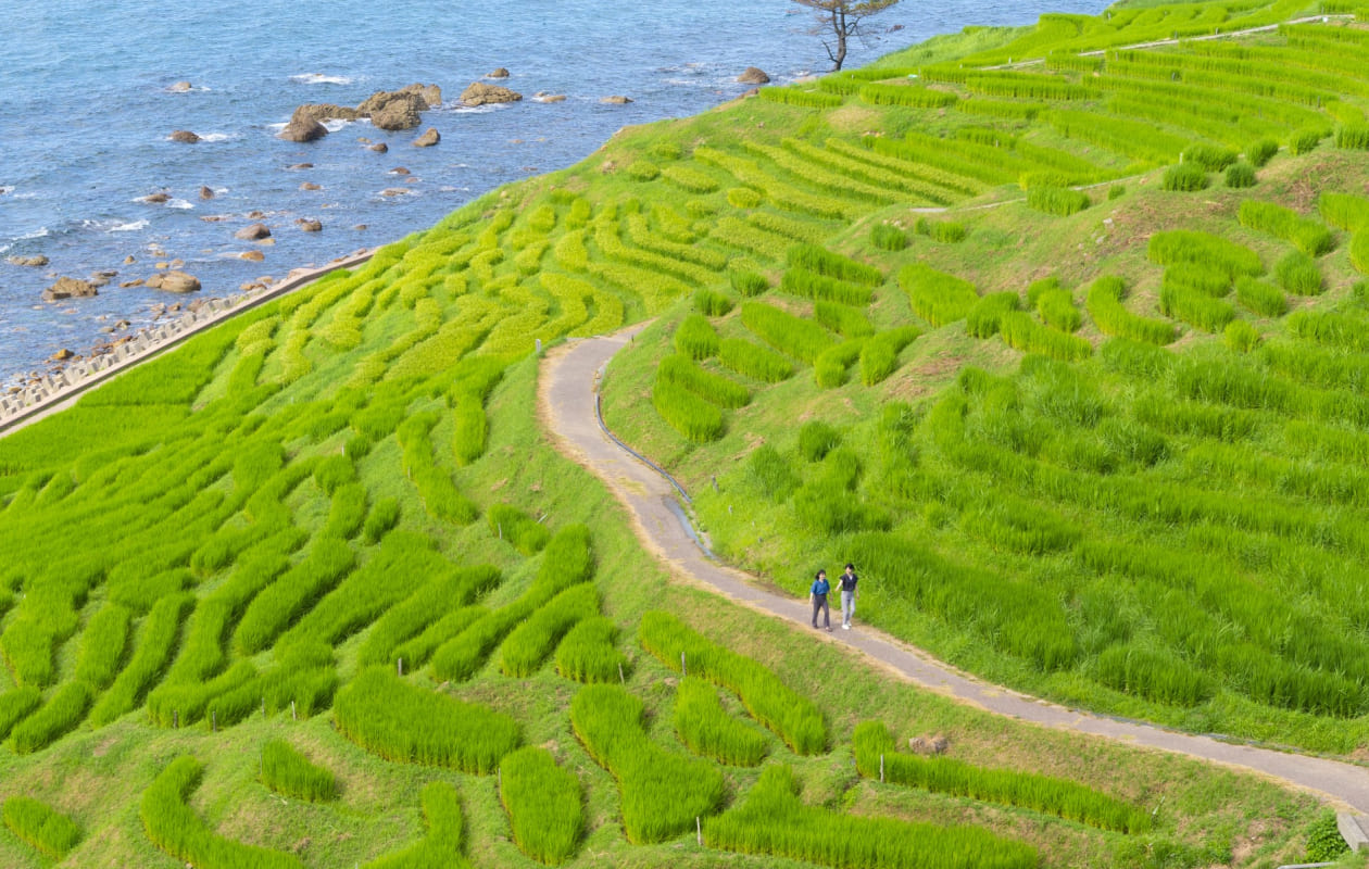 石川県の魅力を紹介する画像4