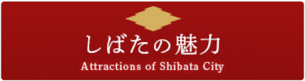 新発田の魅力