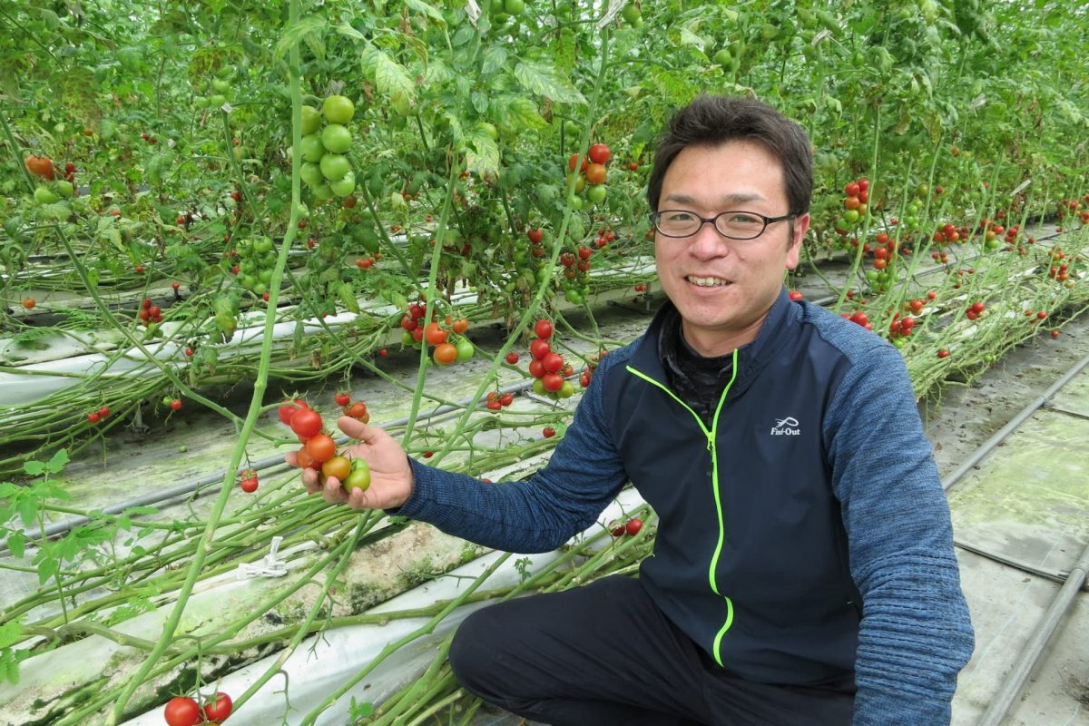 経営者に憧れトマト農家へ。新規就農と事業継承を両立する元銀行マンの挑戦