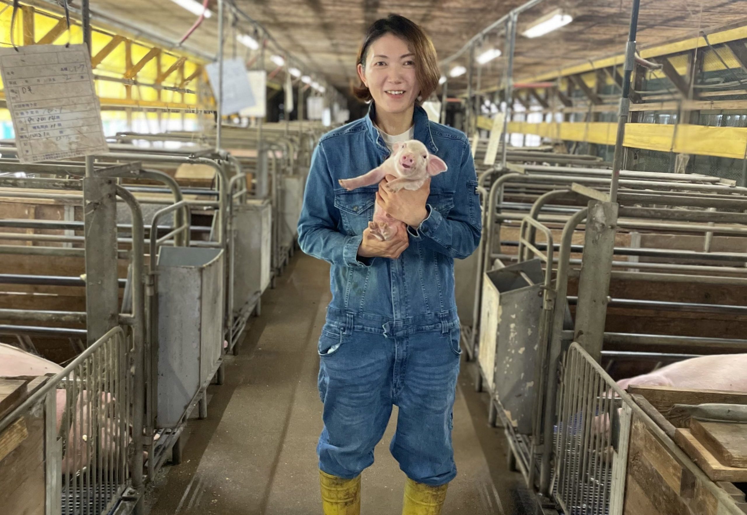 養豚農場が生き続けるには、時代に合わせた挑戦が欠かせない。「くすのきファーム」2代目社長の信念と情熱