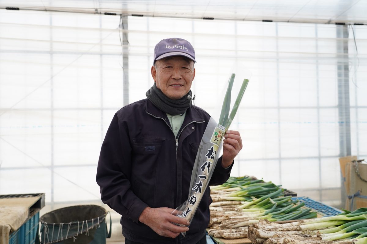 信州の伝統野菜「松代一本ねぎ」の伝統と味を残す生産者募集！